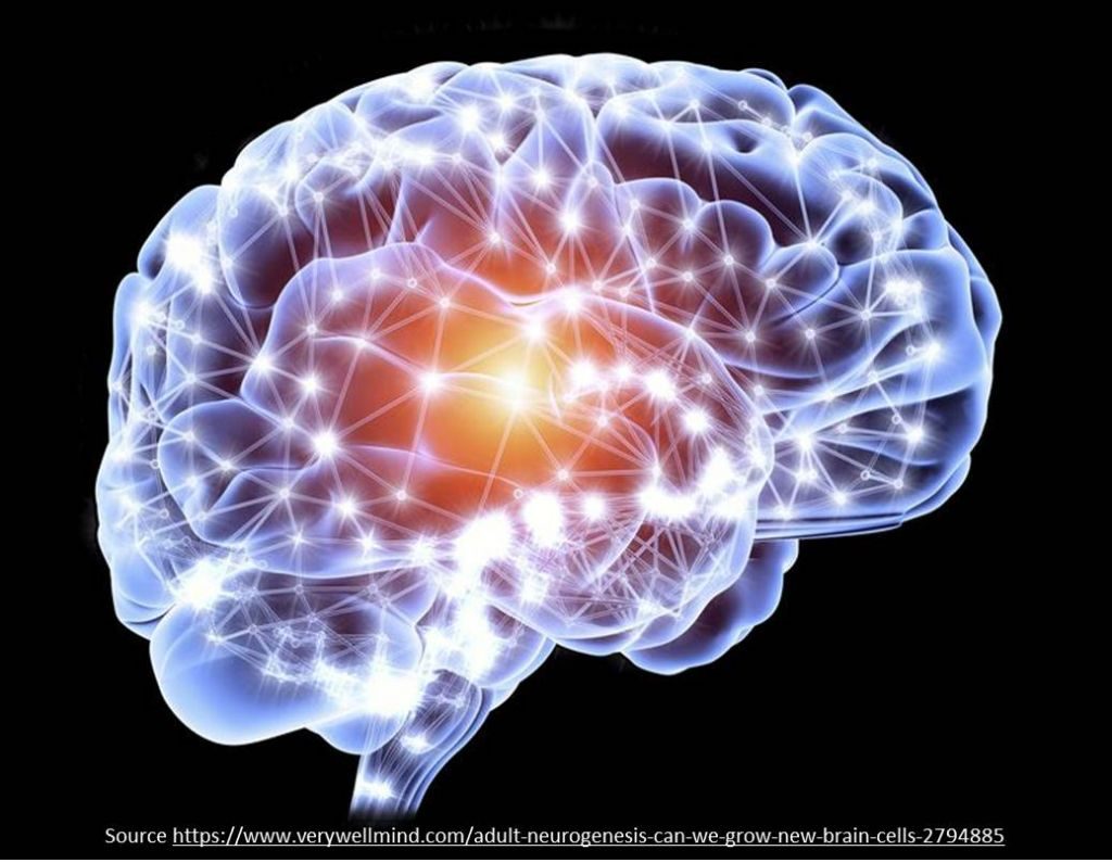 Gangguan Spektrum Autisme (ASD)