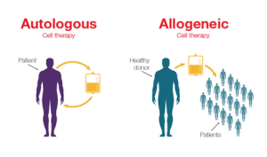 Gambar 1. Perbandingan Autologous dan Allogenic Stem CellsSumber: SPE. 2020 (https://ispe.org/sites/default/files/styles/teaser_image/public/2021-10/1121_PE_SO_Amellem_01_0.jpg)